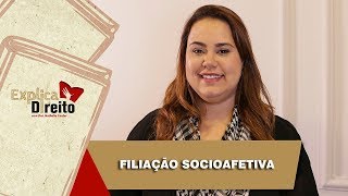 Explica Direito Filiação Socioafetiva  2019 [upl. by Aliakam]